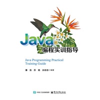 Java编程实训指导