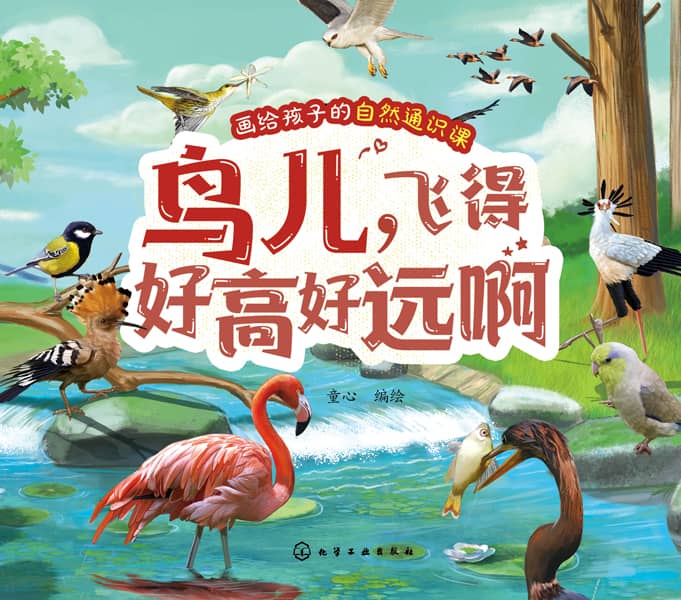 鸟儿，飞得好高好远啊