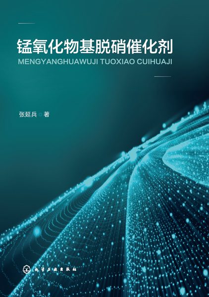 锰氧化物基脱硝催化剂