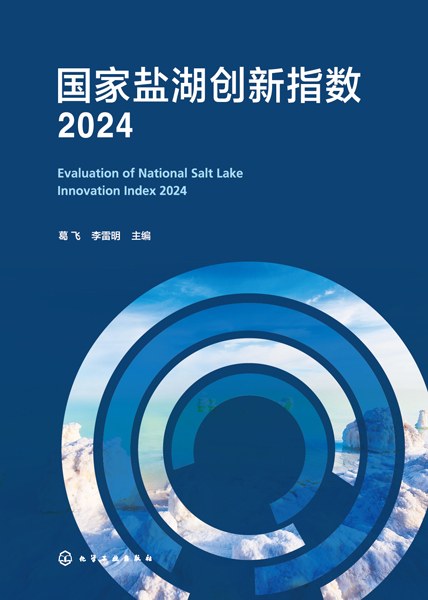 国家盐湖创新指数(2024)(2024)