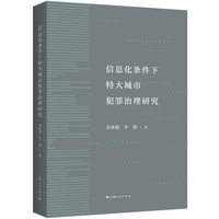 信息化条件下特大城市犯罪治理研究