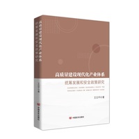 高质量建设现代化产业体系——统筹发展和安全政策研究