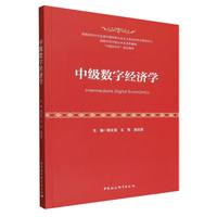 中级数字经济学