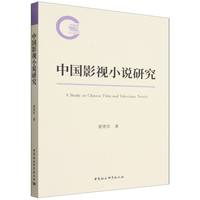 中国影视小说研究