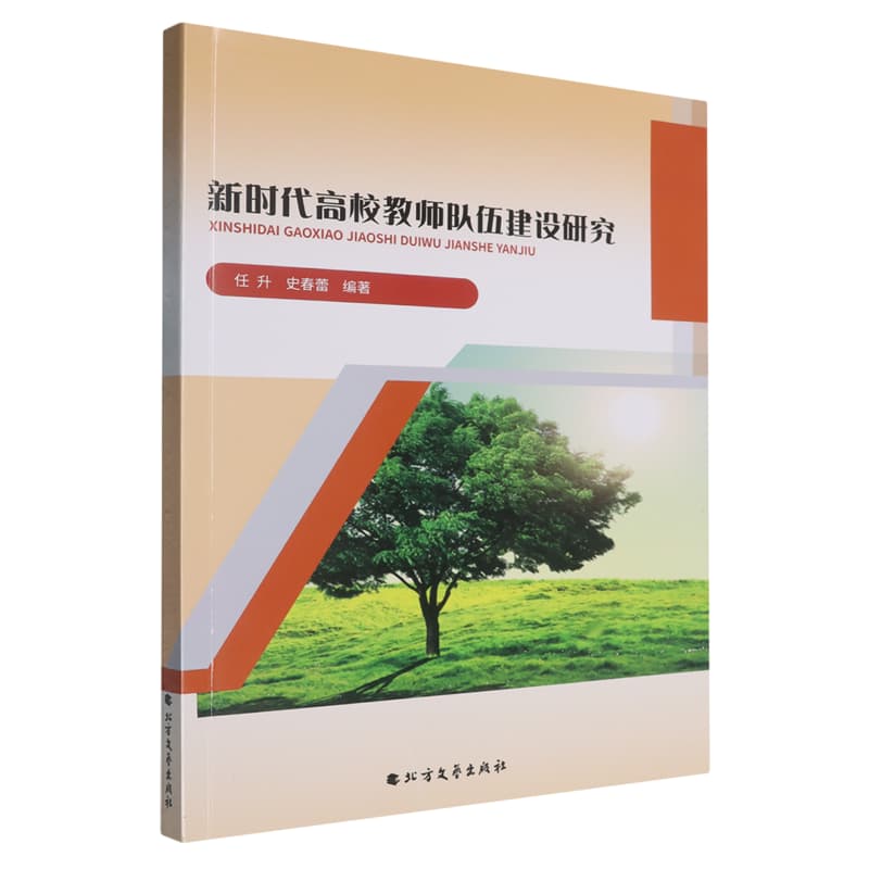 新时代高校教师队伍建设研究