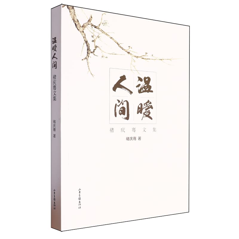 温暖人间——褚庆骞文集