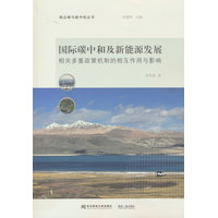 国际碳中和及新能源发展——相关多重政策机制的相互作用与影响