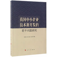 我国中小企业技术源开发的若干问题研究