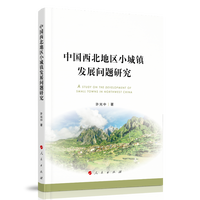 中国西北地区小城镇发展问题研究