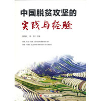 中国脱贫攻坚的实践与经验