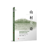 山村史诗——南溪纳西族村民日志的重构性解读与反思