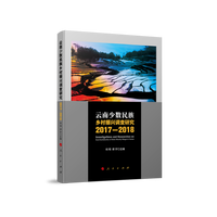 云南少数民族乡村振兴调查研究(2017-2018)(2017-2018)