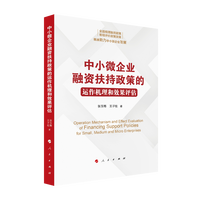 中小微企业融资扶持政策的运作机理和效果评估