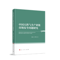 中国天然气全产业链市场安全问题研究