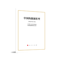 中国的能源转型——2024年8月