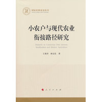 小农户与现代农业衔接路径研究