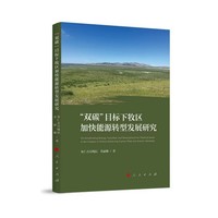 “双碳”目标下牧区加快能源转型发展研究