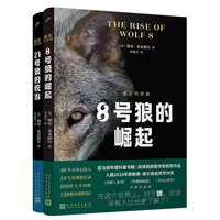 8号狼的崛起