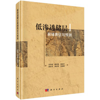 低渗透储层裂缝表征与预测