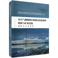 岩气藏缝网压裂储层改造体积模拟与矿场实践