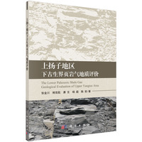 上扬子地区下古生界岩气地质评价