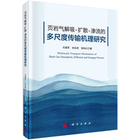 岩气解吸－扩散－渗流的多尺度传输机理研究