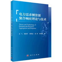 电力需求侧资源聚合响应理论与技术