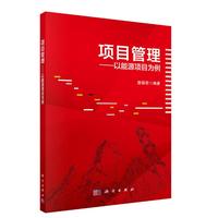 项目管理：以能源项目为例