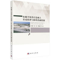 松嫩平原苏打盐碱土形成机理与障碍消减机制