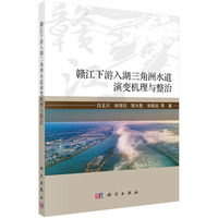 赣江下游入湖三角洲水道演变机理与整治