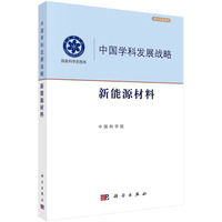 中国学科发展战略:新能源材料