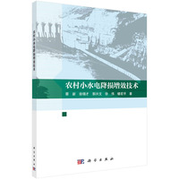 农村小水电降损增效技术
