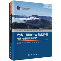 武当－桐柏－大别成矿带地质构造过程与成矿