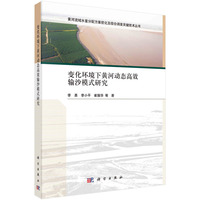 变化环境下黄河动态高效输沙模式研究