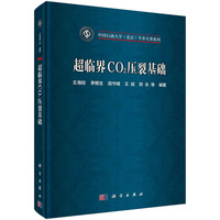 超临界CO?压裂基础