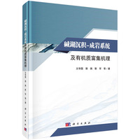 碱湖沉积－成岩系统及有机质富集机理
