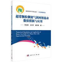 超常颗粒稠密气固两相流动数值模拟与应用