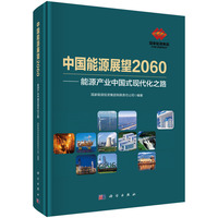 中国能源展望2060：能源产业中国式现代化之路