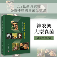 神农架大型真菌