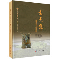 盘龙城·青铜器研究：1995-2019