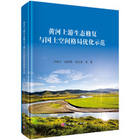 黄河上游生态修复与国土空间格局优化示范