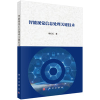 智能视觉信息处理关键技术