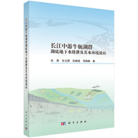 长江中游牛轭湖群湖底地下水排泄及其水环境效应