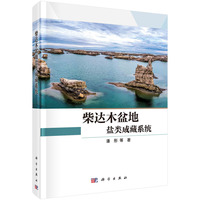 柴达木盆地盐类成藏系统