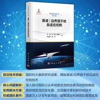 激波/边界层干扰自适应控制