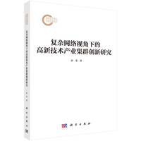 复杂网络视角下的高新技术产业集群创新研究