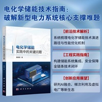 电化学储能实践中的关键问题