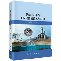 纳米零价铁工程化修复技术与应用