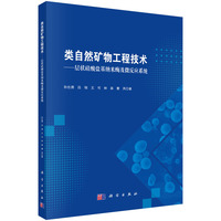 类自然矿物工程技术：层状硅酸盐基纳米酶及微反应系统