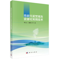 市政污泥焚烧灰资源化利用技术